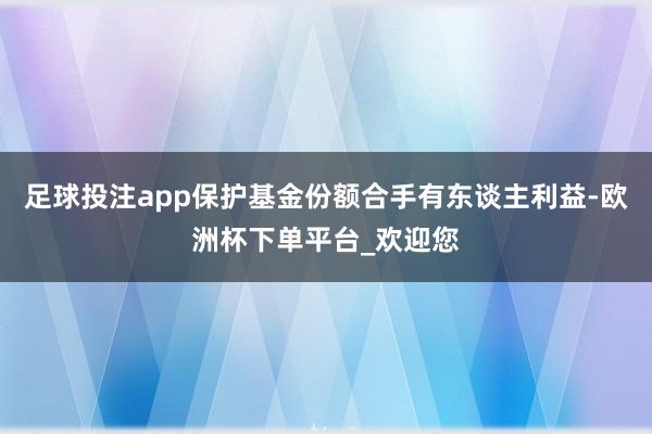 足球投注app保护基金份额合手有东谈主利益-欧洲杯下单平台_欢迎您